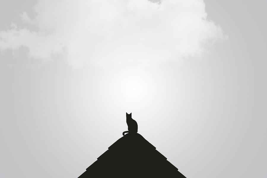 Neve Minimal Blogger 11